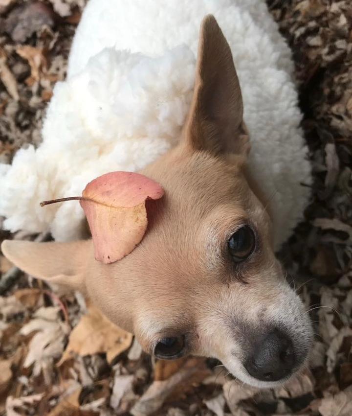 Portrait of Britanny